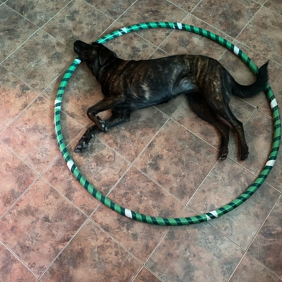 💚 Hi. I'm Jules. Love glitter, butterflies, green - Picture 5 of 16